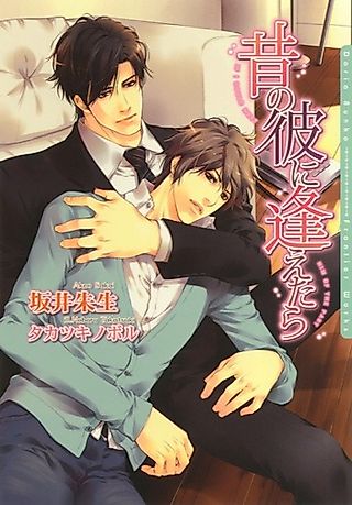 Cover image for the novel called Mukashi no kare ni Aetara