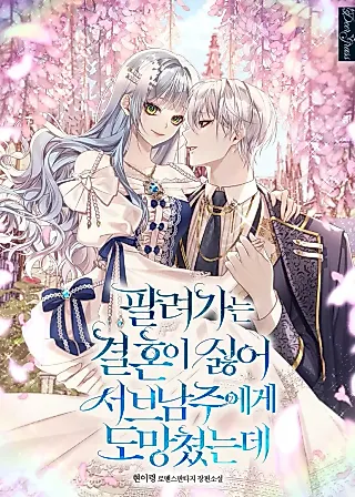 Cover image for the novel called My Otherworldly Marriage