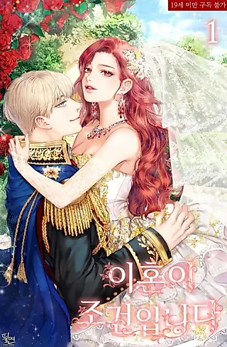 Cover image for the novel called My Condition Is Divorce