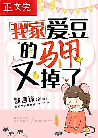 Cover image for the novel called My Family’s Idol’s Vest Fell Again