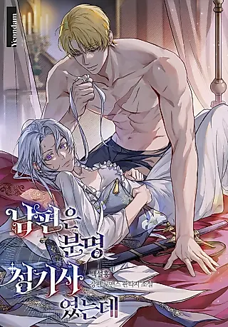 Cover image for the novel called My Husband Is Definitely a Paladin