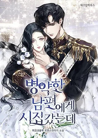 Cover image for the novel called My Husband is Weak by Day, Strong by Night