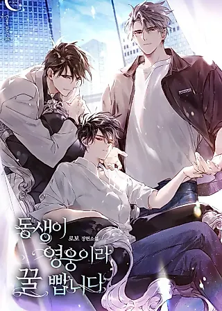 Cover image for the novel called My Younger Brother is a Hero