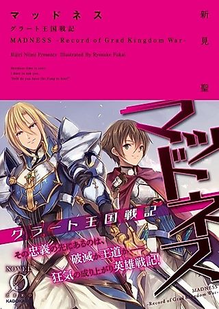 Cover image for the novel called Madness: Record of Grad Kingdom War