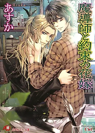 Cover image for the novel called Madoushi to Yakusoku no Hanayome