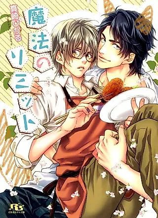 Cover image for the novel called Mahou no Limit