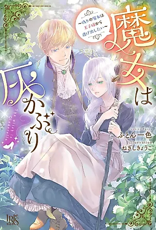 Cover image for the novel called The Witch Is Cinderella