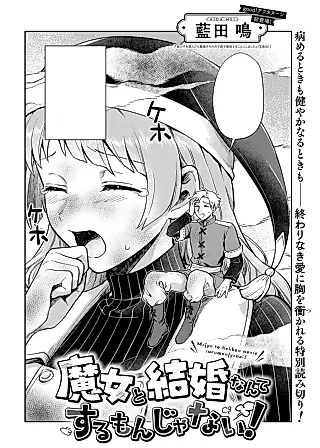 Cover image for the manga called Majo to Kekkon nante Suru Mon ja Nai!