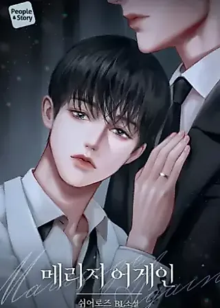Cover image for the novel called Marriage Again