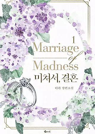 Cover image for the novel called Marriage Madness