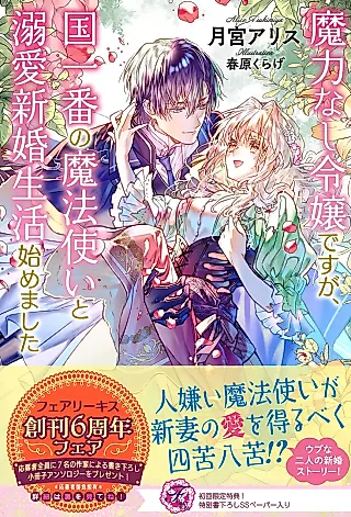 Cover image for the novel called Maryoku Nashi Reijou desu ga, Kuni Ichiban no Mahou Tsukai to Dekiai Shinkon Seikatsu Hajimemashita