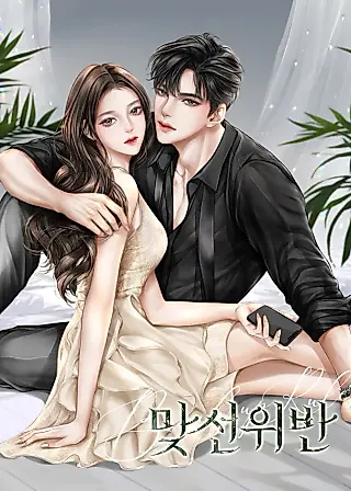 Cover image for the novel called Matchmaking Breach