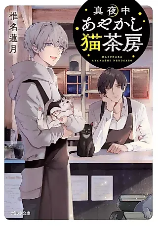 Cover image for the novel called Mayonaka Ayakashi Neko Sabou