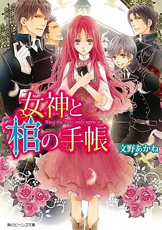 Cover image for the novel called Megami to Hitsugi no Techou