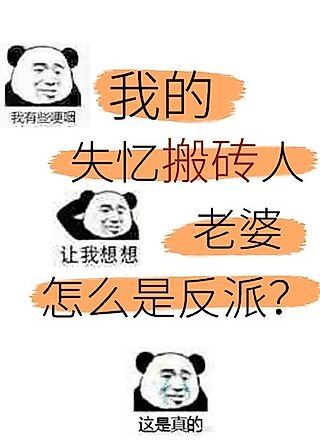 Cover image for the novel called Mei Qiang Can Fanpai Shi Wo Laopo