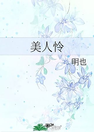 Cover image for the novel called Meiren Lian