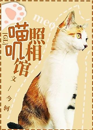 Cover image for the novel called Miao Ji Zhaoxiang Guan
