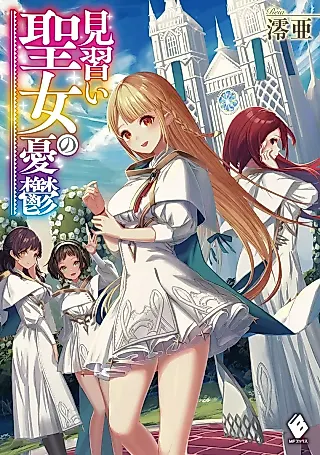 Cover image for the novel called Minarai Seijo no Yuuutsu