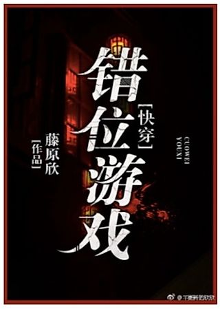 Cover image for the novel called Misplacement Game