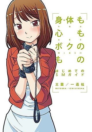Cover image for the novel called Mitai mo Kokoro mo Boku no Mono: Hajimete no SM Guide