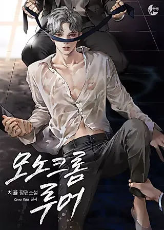 Cover image for the novel called Monochrome Rumor