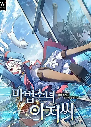Cover image for the novel called Mr. Magical Girl