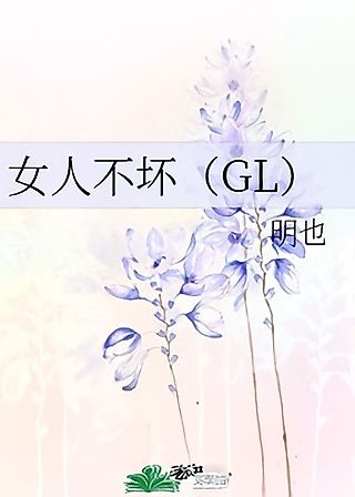 Cover image for the novel called Nuren Bu Huai