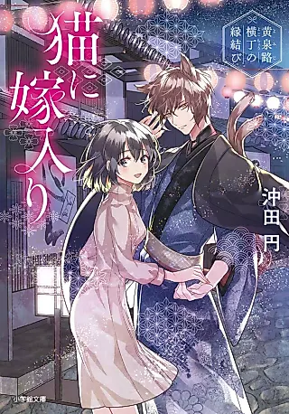 Cover image for the novel called Neko ni Yomeiri