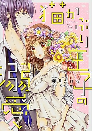 Cover image for the manga called Infatuation of the Masked Prince