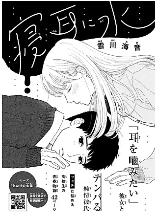 Cover image for the manga called Nemimi ni Mizu