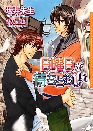 Cover image for the novel called Nichiyoubi ga Machidooshii