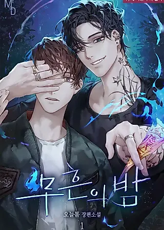Cover image for the novel called 무흔의 밤