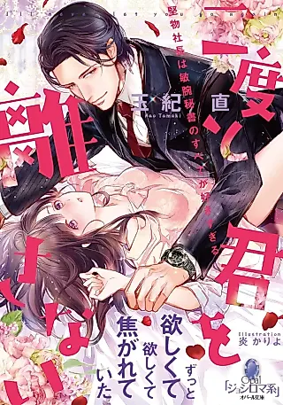 Cover image for the novel called Nidoto Kimi wo Hanasanai: Katabutsu Shachou wa Binwan Hisho no Subete ga Suki Sugiru