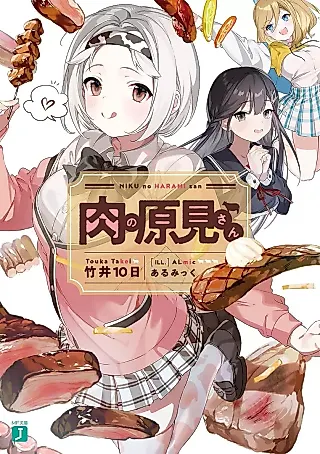 Cover image for the novel called Niku no Harami-san