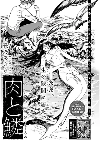 Cover image for the manga called Niku to Uroko