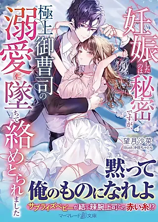 Cover image for the novel called Ninshin Shita no wa Himitsu desu ga, Gokujou Onzoushi no Dekiai ni Ochite Karame Torare Mashita