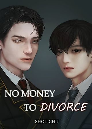 Cover image for the novel called No Money to Divorce