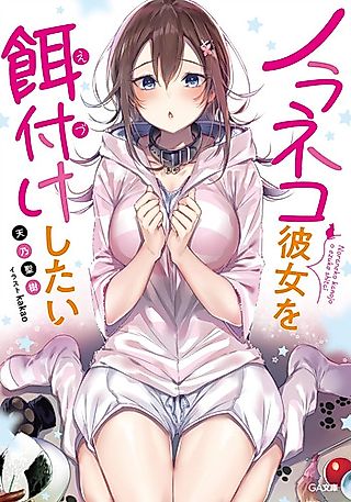 Cover image for the novel called Noraneko Kanojo wo Edzuke Shitai