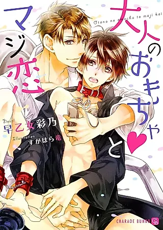 Cover image for the novel called Otona no Omocha to Majikoi
