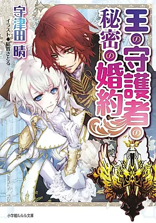 Cover image for the novel called Ou no Shugosha no Himitsu no Konyaku