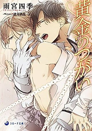 Cover image for the novel called Ougon no Tsugai