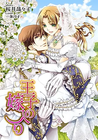 Cover image for the novel called Ouji no Yomeiri