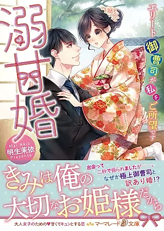 Cover image for the novel called Overly Sweet Marriage