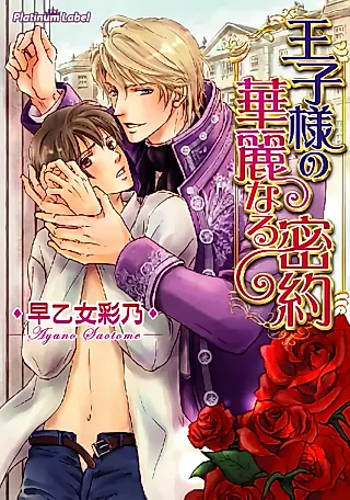 Cover image for the novel called Ojisama no Kareinaru Mitsuyaku