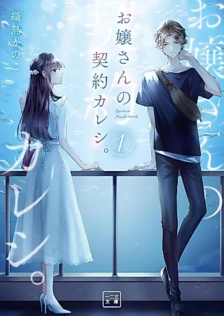 Cover image for the novel called Ojou-san no Keiyaku Kareshi.