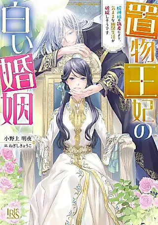 Cover image for the novel called Okimono Ouhi no Shiroi Konin: Hebi Kamisama no Shuuchaku Niyori, Kimama na Yuuhei Seikatsu ga Hatan Shi Sou desu