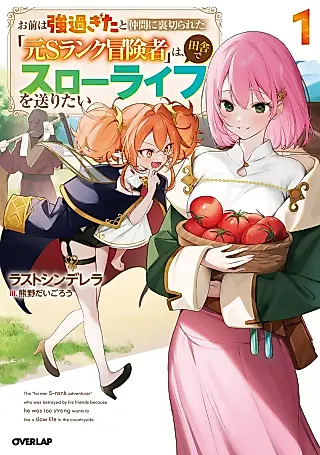 Cover image for the novel called The “Former S-Rank Adventurer” Who Was Betrayed by His Friends Because He Was Too Strong Wants to Live a Slow Life in the Countryside
