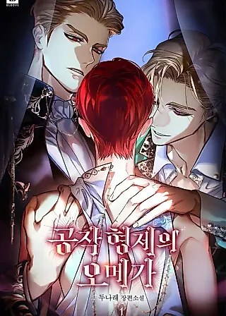 Cover image for the novel called Omega of the Duke Brothers