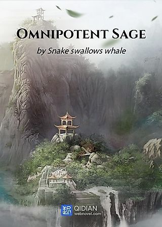 Cover image for the novel called Omnipotent Sage
