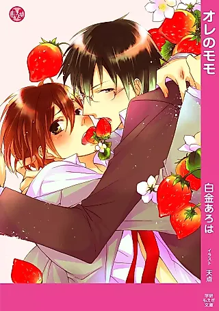 Cover image for the novel called Ore no Momo
